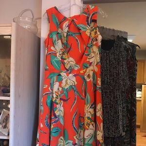 Beautiful Dress Barn dress